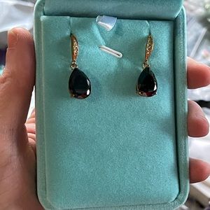 Black and Gold Dangle Earrings